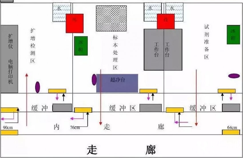 PCR实验室区域划分