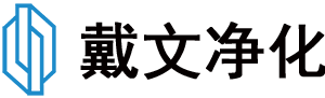 上海戴文净化