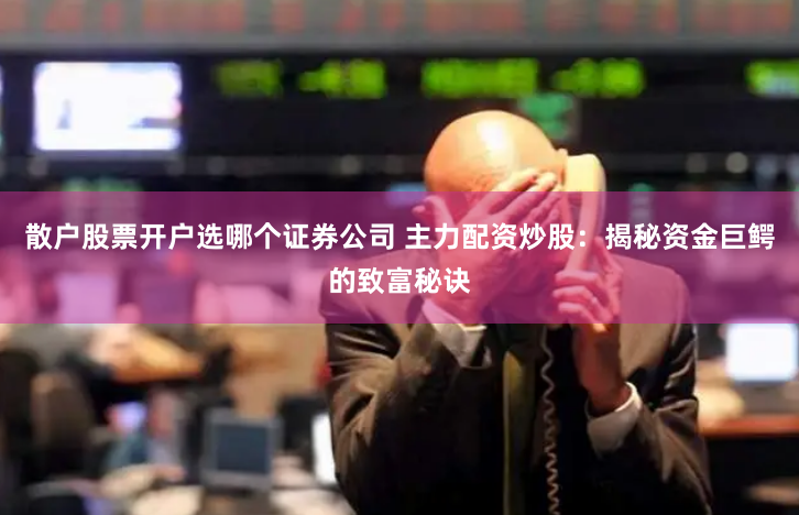 散户股票开户选哪个证券公司 主力配资炒股：揭秘资金巨鳄的致富秘诀